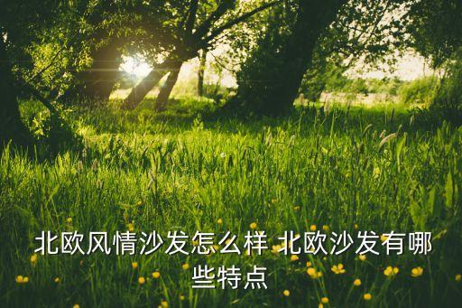 od体育官网：高档北欧家具十大北欧风格家具品牌(图2)